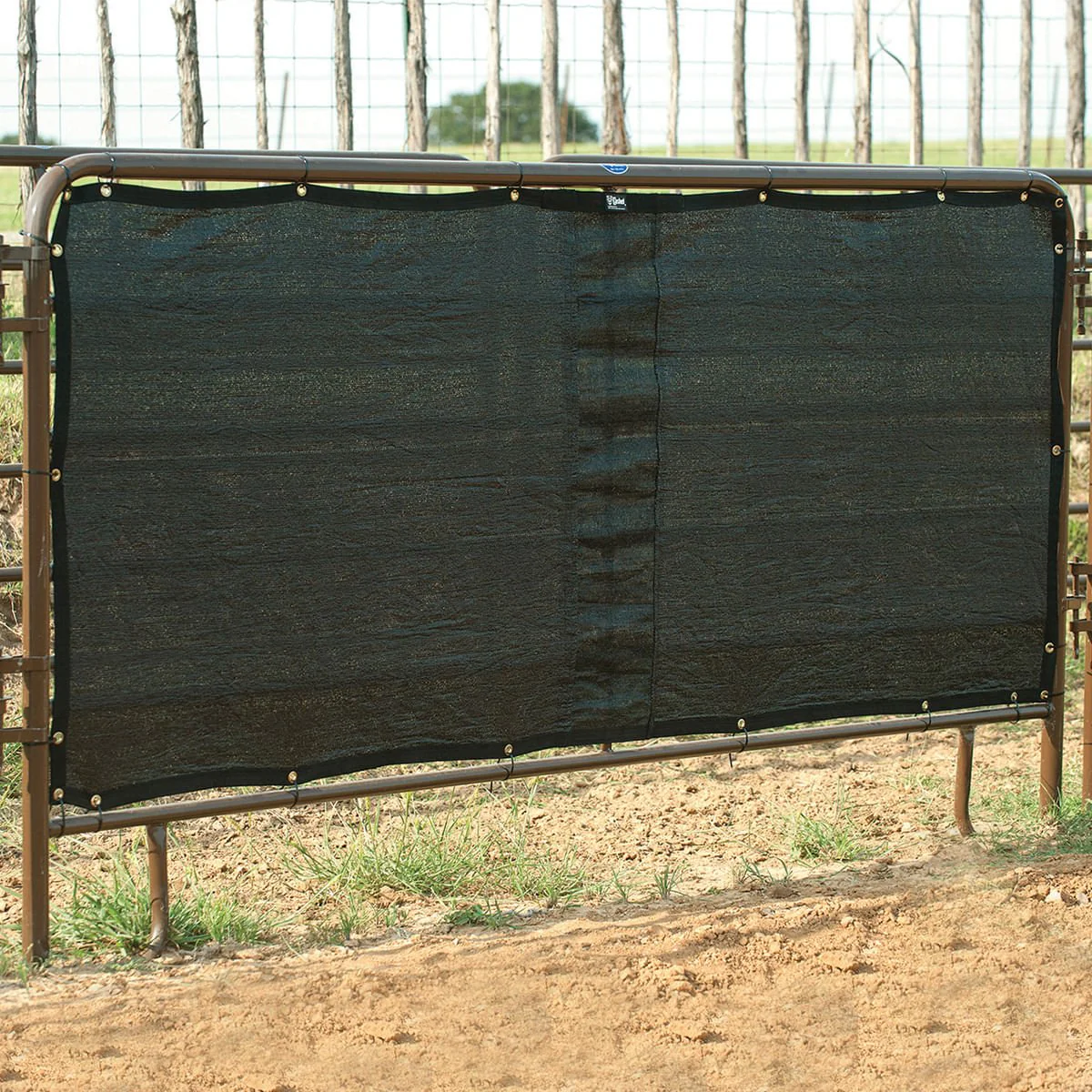 Panel Screen - Healthber