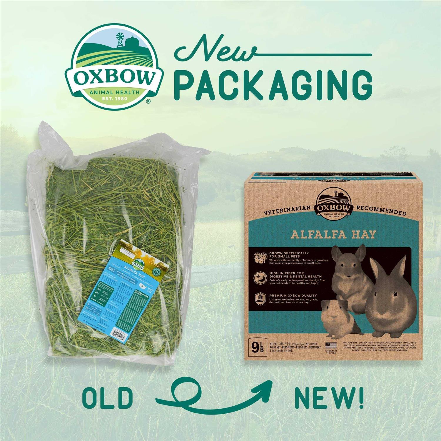 Oxbow Alfalfa Hay - Healthber