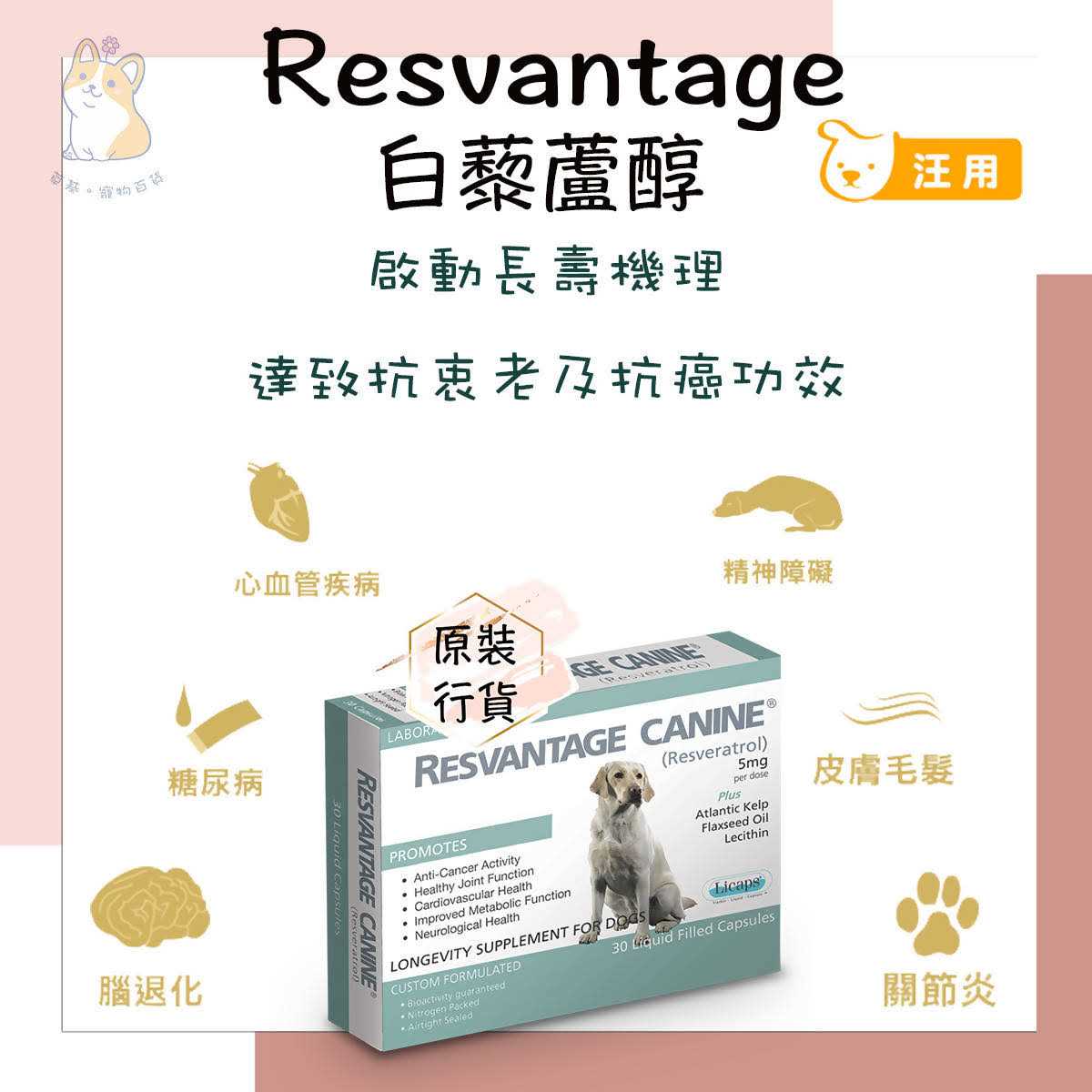 Resvantage Canine - Healthber