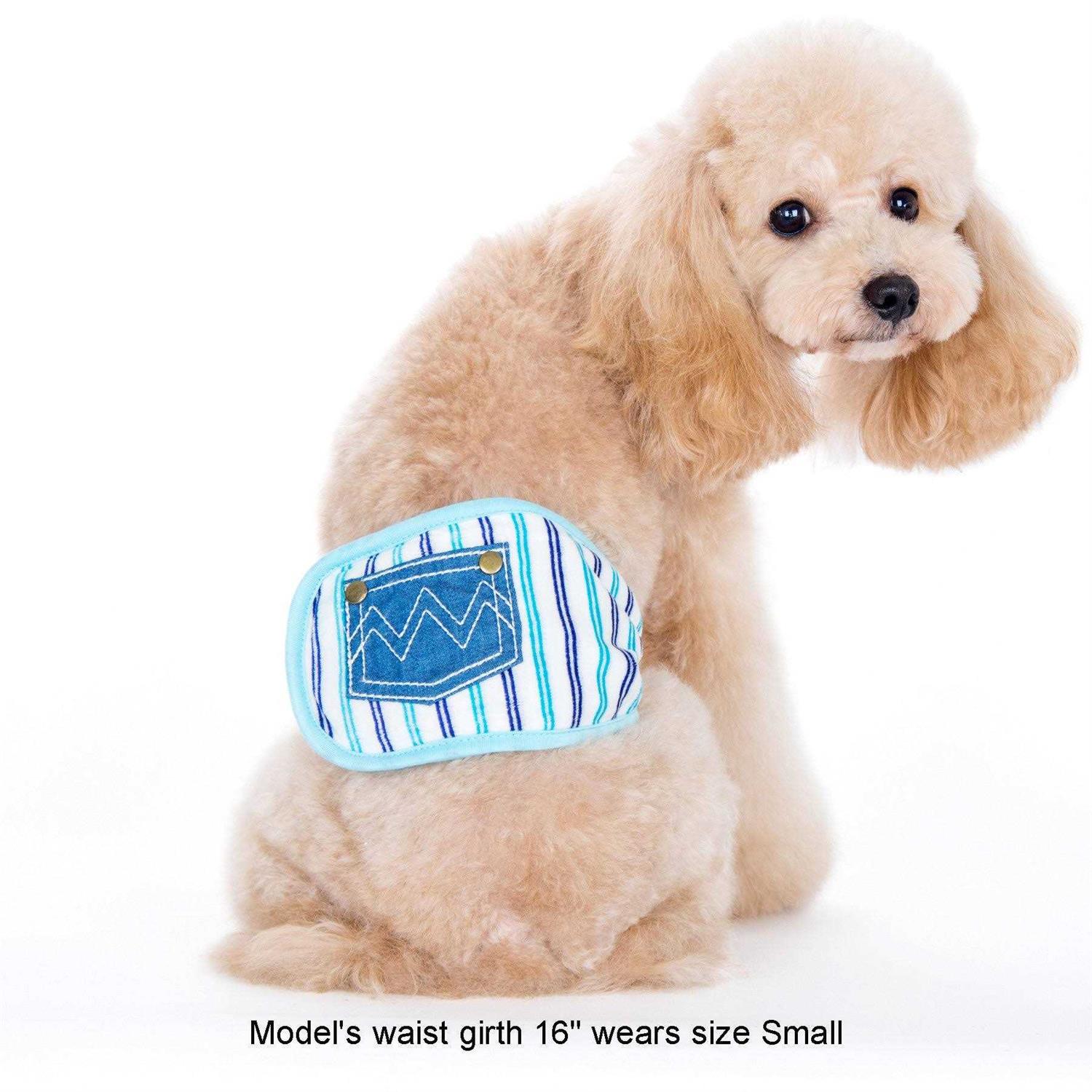 Alfie Pet Gaki Belly Band - Healthber