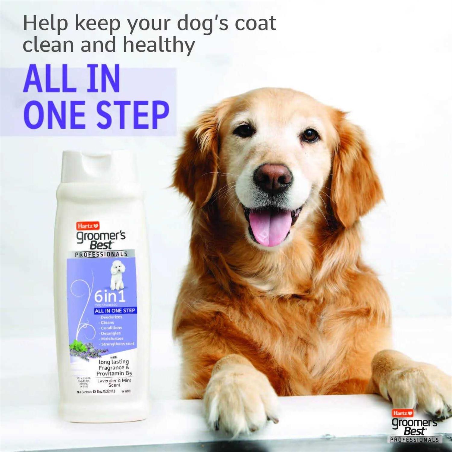 Hartz Groomer’s Best Professionals 6 in 1 Dog Shampoo - Healthber