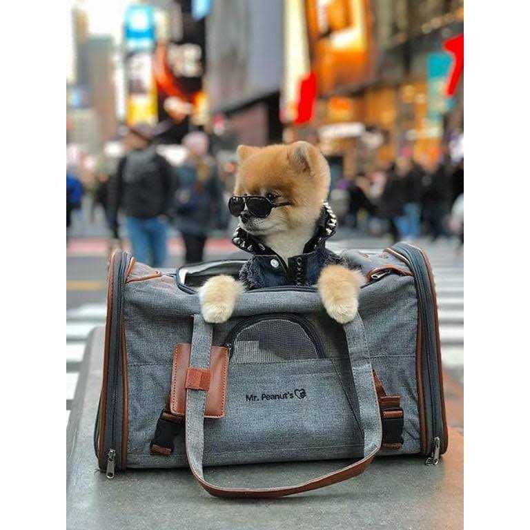 Gold Series Expandable Airline Approved Pet Carrier Mr. Peanut&s - Healthber