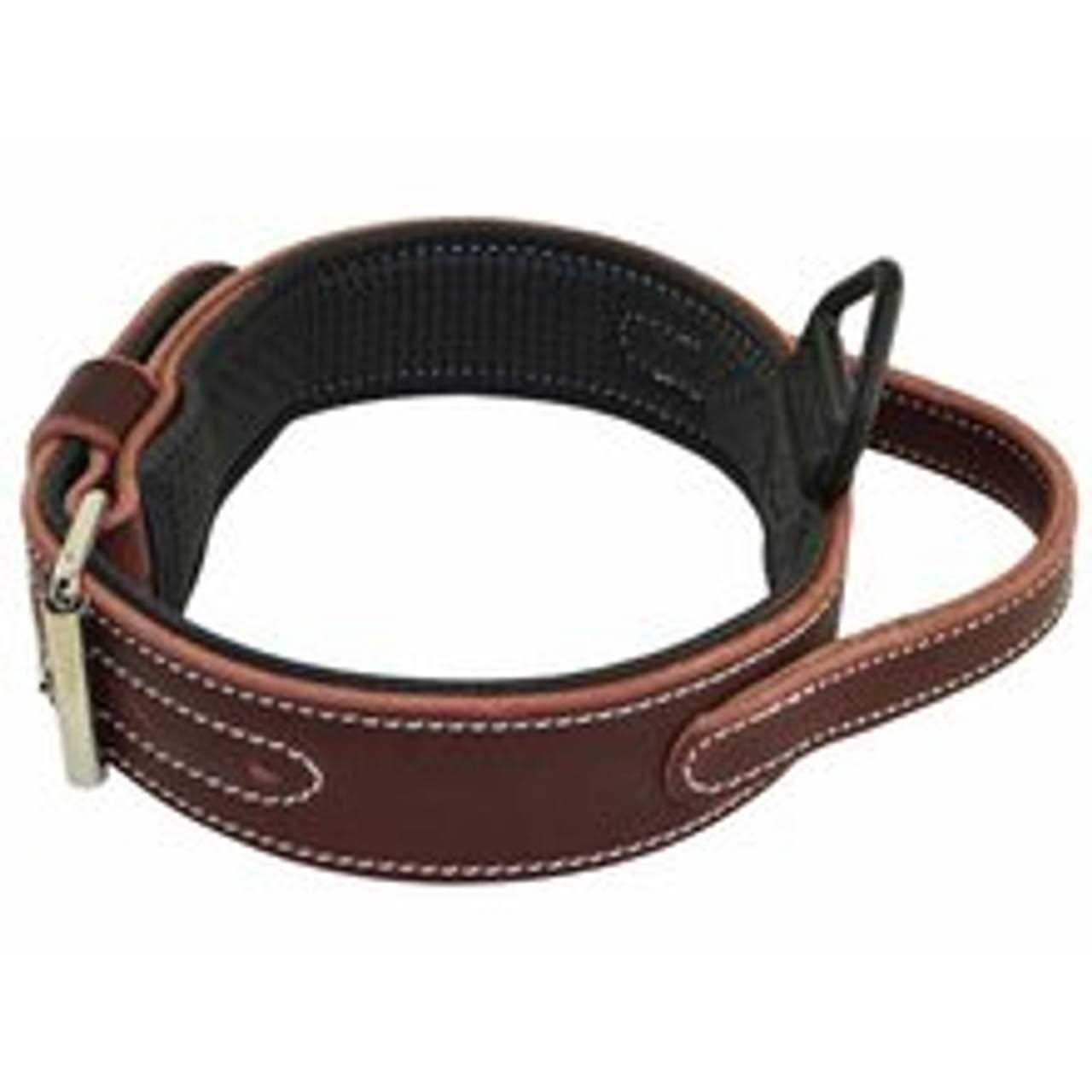 Ultimate Padded Leather Agitation Collar - Healthber