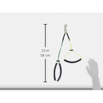 Downtown Pet Supply No Sit Grooming Loop Restraint for Dog Grooming - Healthber