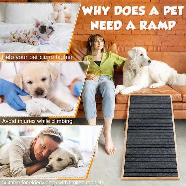 Coziwow Dog Ramp Folding Stair 4-Level Height Adjustable Non-slip Mat - Healthber