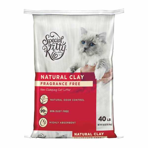 Special Kitty Unscented Non-Clumping Natural Clay Litter - Healthber