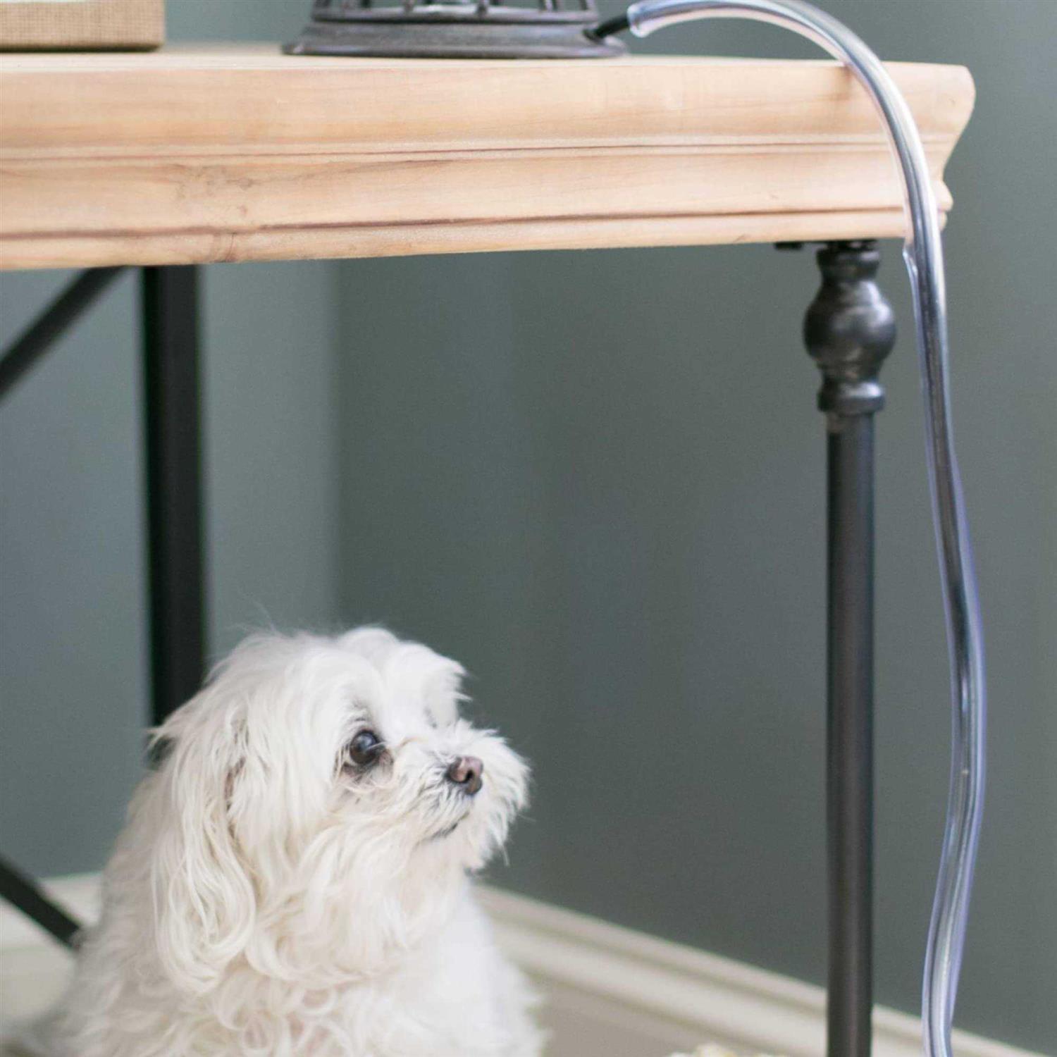 North States Ruff & Tuff Cord Protector for Dogs - Healthber