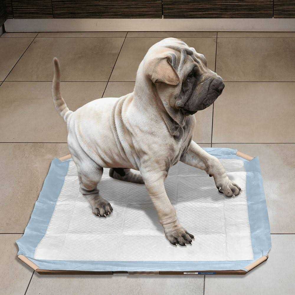 OUT! Dog Pad Holder Portable Tray for Pet Training and Puppy Pads - Healthber