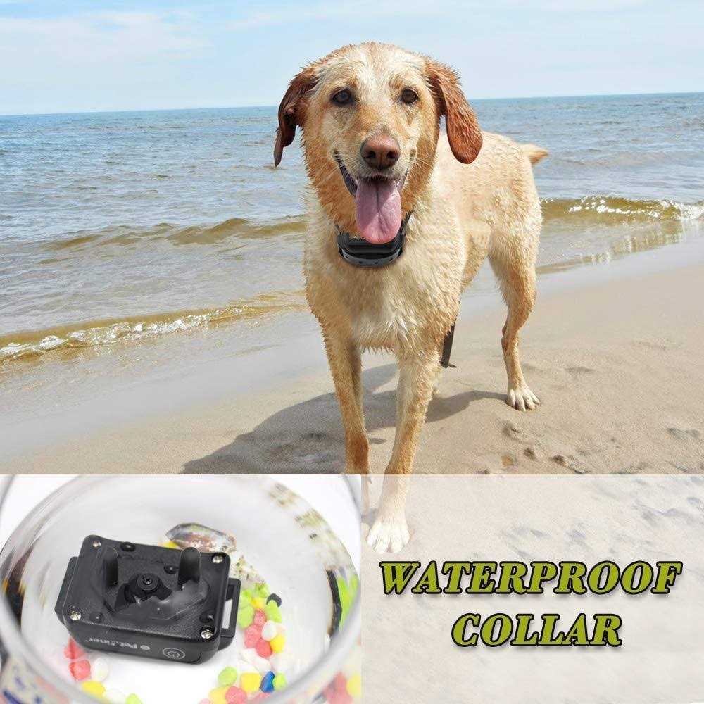 Petrainer Upgraded Model Rechargeable & Waterproof Remote Dog Training Collar 330 yd Electric Dog Bark Collar with Beep/Vibration/Shock Collar - Healthber