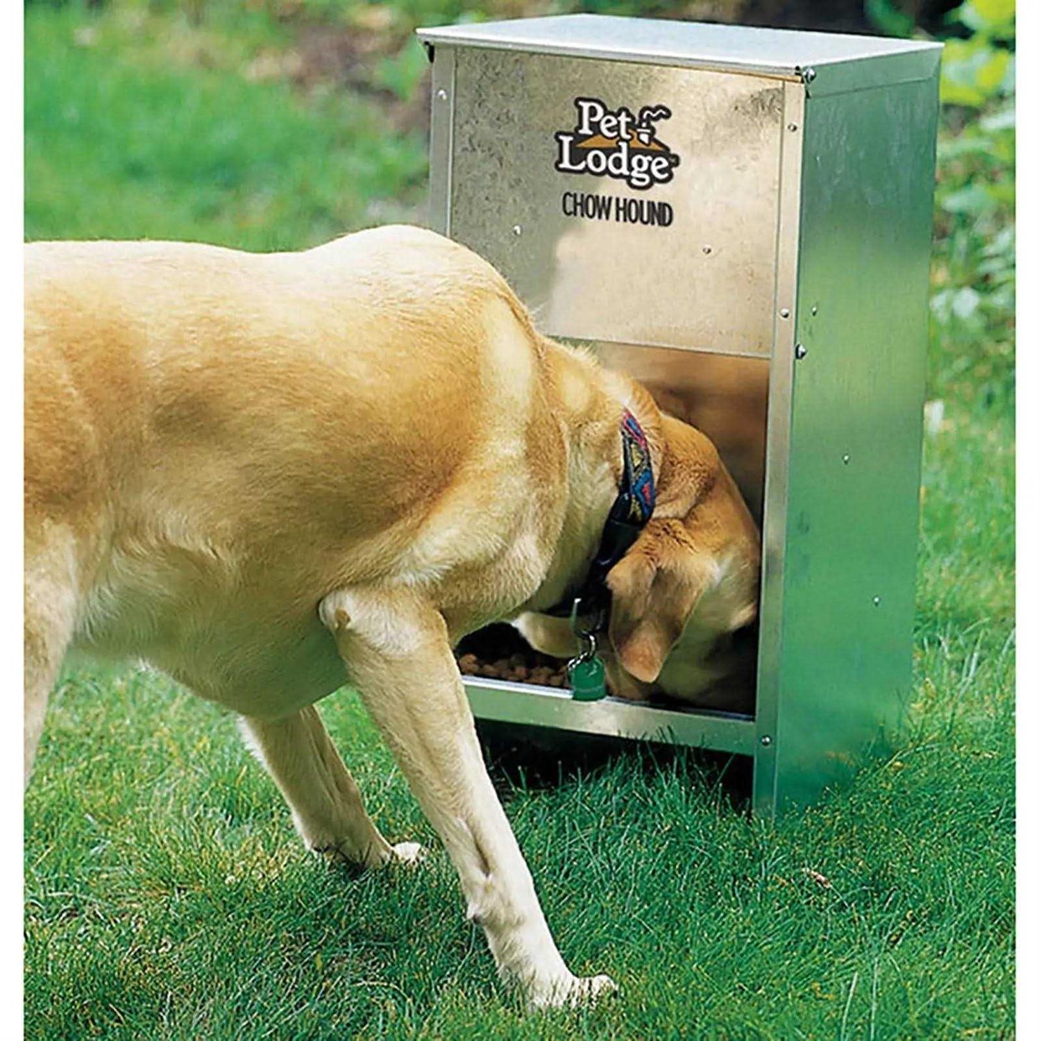 Pet Lodge CH12 Chow Hound 12 Pound Dog Feeder - Healthber