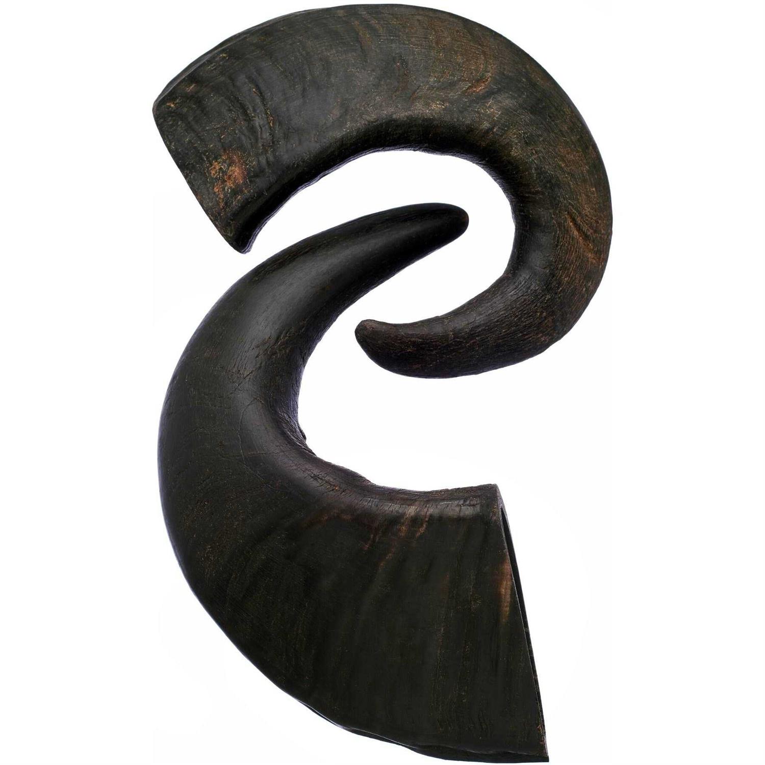 Bones & Chews Water Buffalo Horn Dog Treat - Healthber