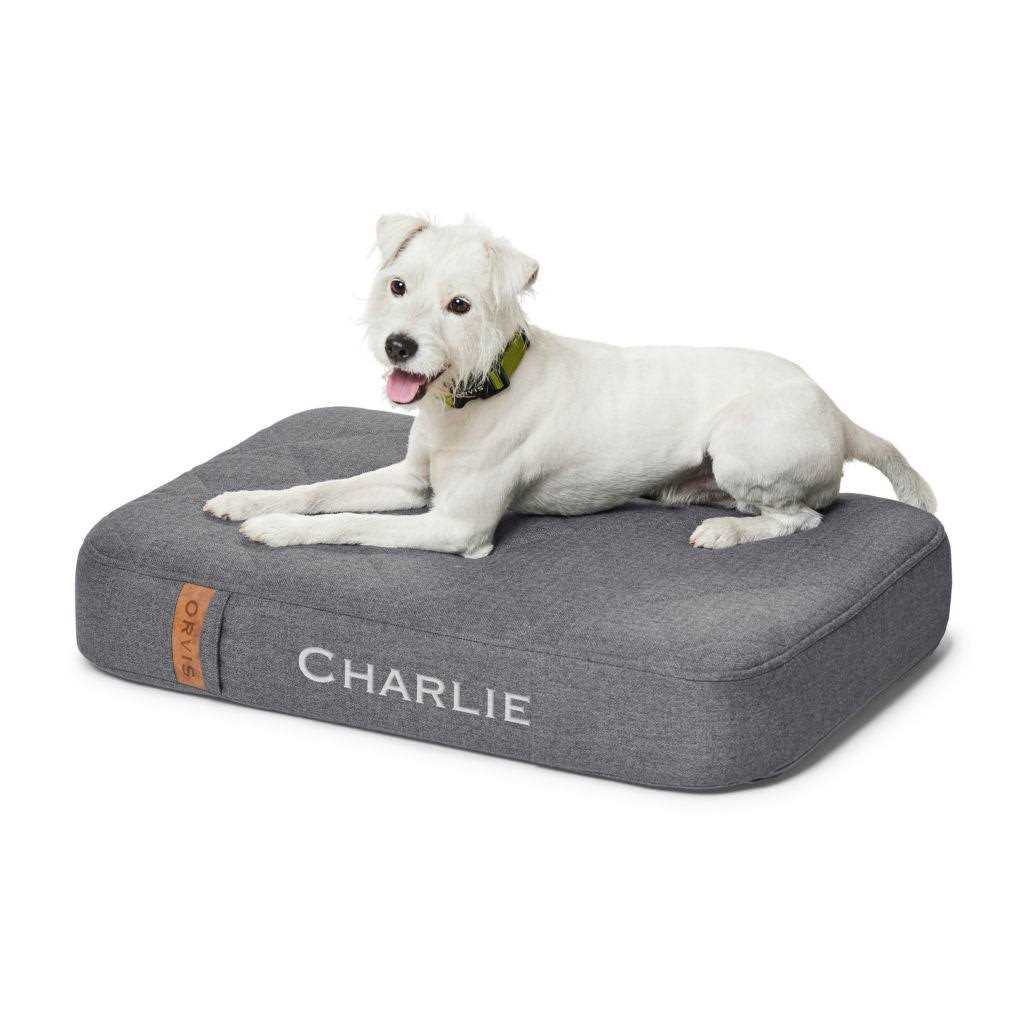 Orvis RecoveryZone Lounger Dog Bed - Healthber