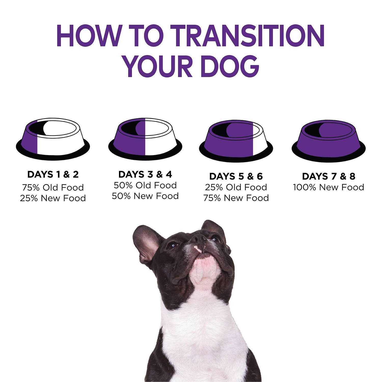 Wellness Complete Health Chicken Senior Dry Dog Food - Healthber