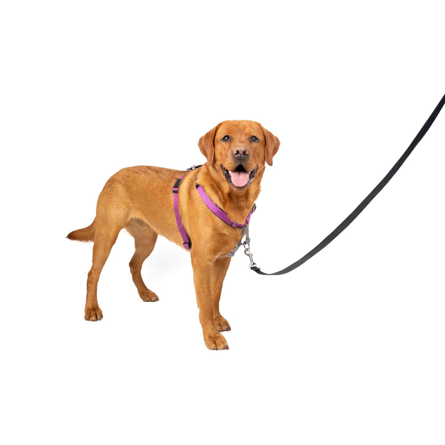 PetSafe 3 in 1 Harness - Healthber