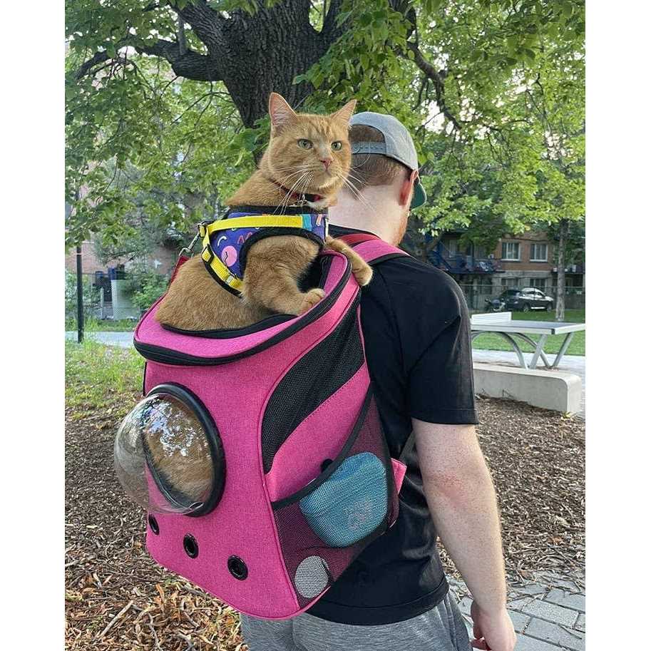 The Fat Cat Cat Backpack - Healthber
