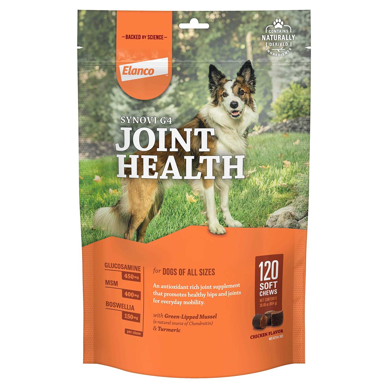 Synovi G4 Joint Supplement Soft Chews for Dogs - Healthber