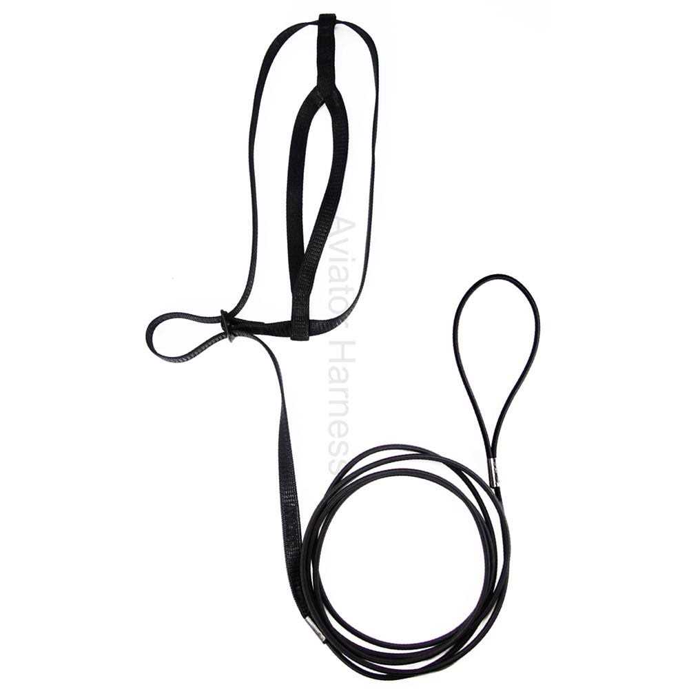 The Aviator Bird Harness and Leash - Healthber