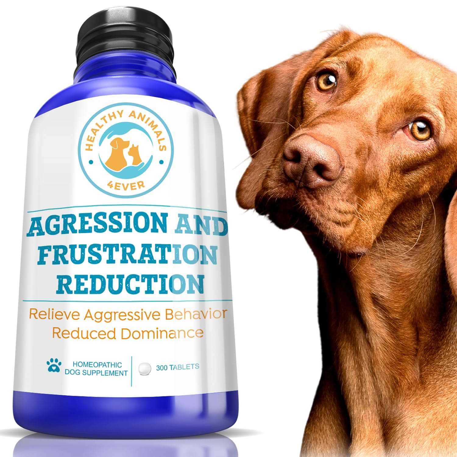 Aggression and Frustration Reduction - Healthber
