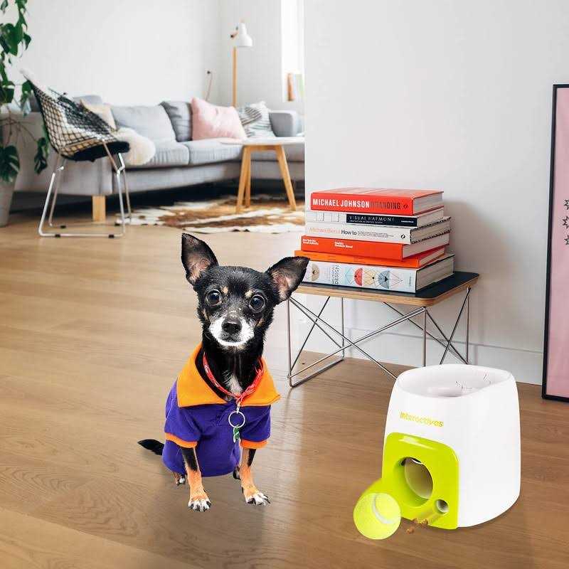 All for Paws Interactive Fetch-N-Treat Dog Toy - Healthber