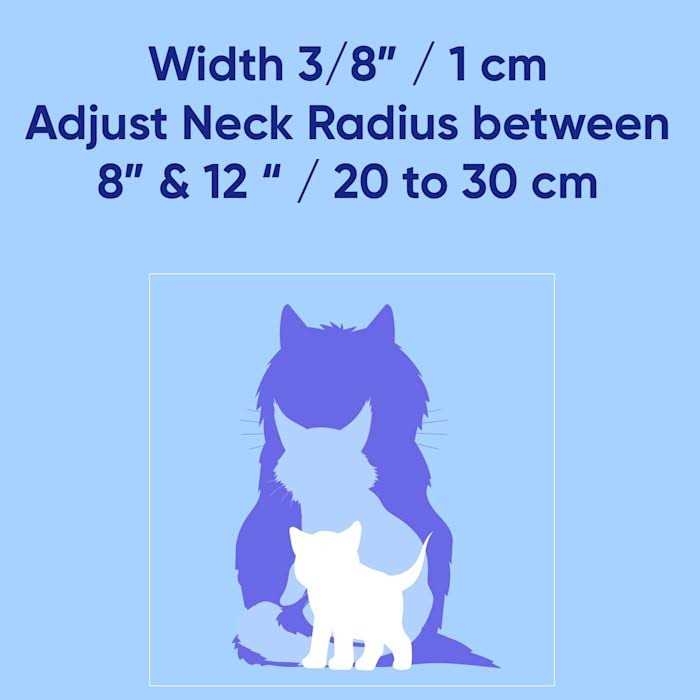 Pawtitas Cat Collar with Safety Buckle and Removable Bell Cat Collar Kitten Collar - Healthber