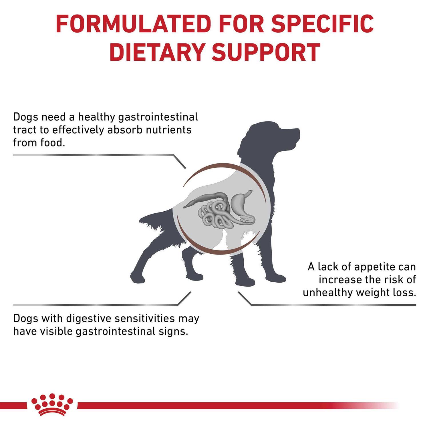 Royal Canin Veterinary Diet Canine Gastrointestinal Dry Dog Food - Healthber