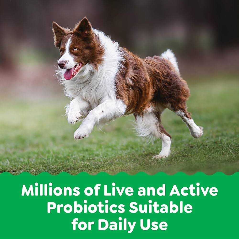 Greenies Supplements Digestive Health Probiotics for Dogs Chicken Flavor - Healthber