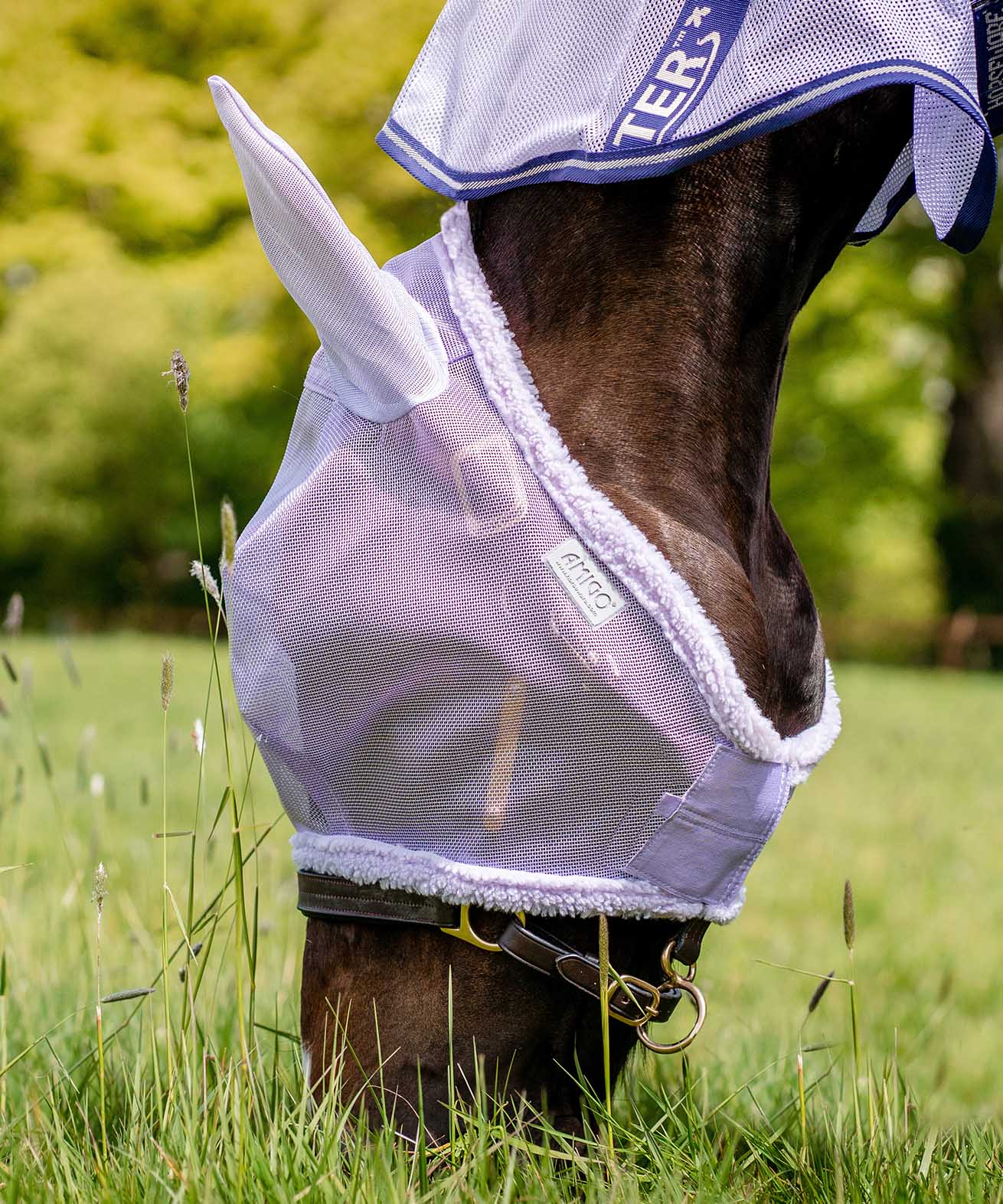 Amigo Horse Fly Mask with Ears, Lavender - Healthber