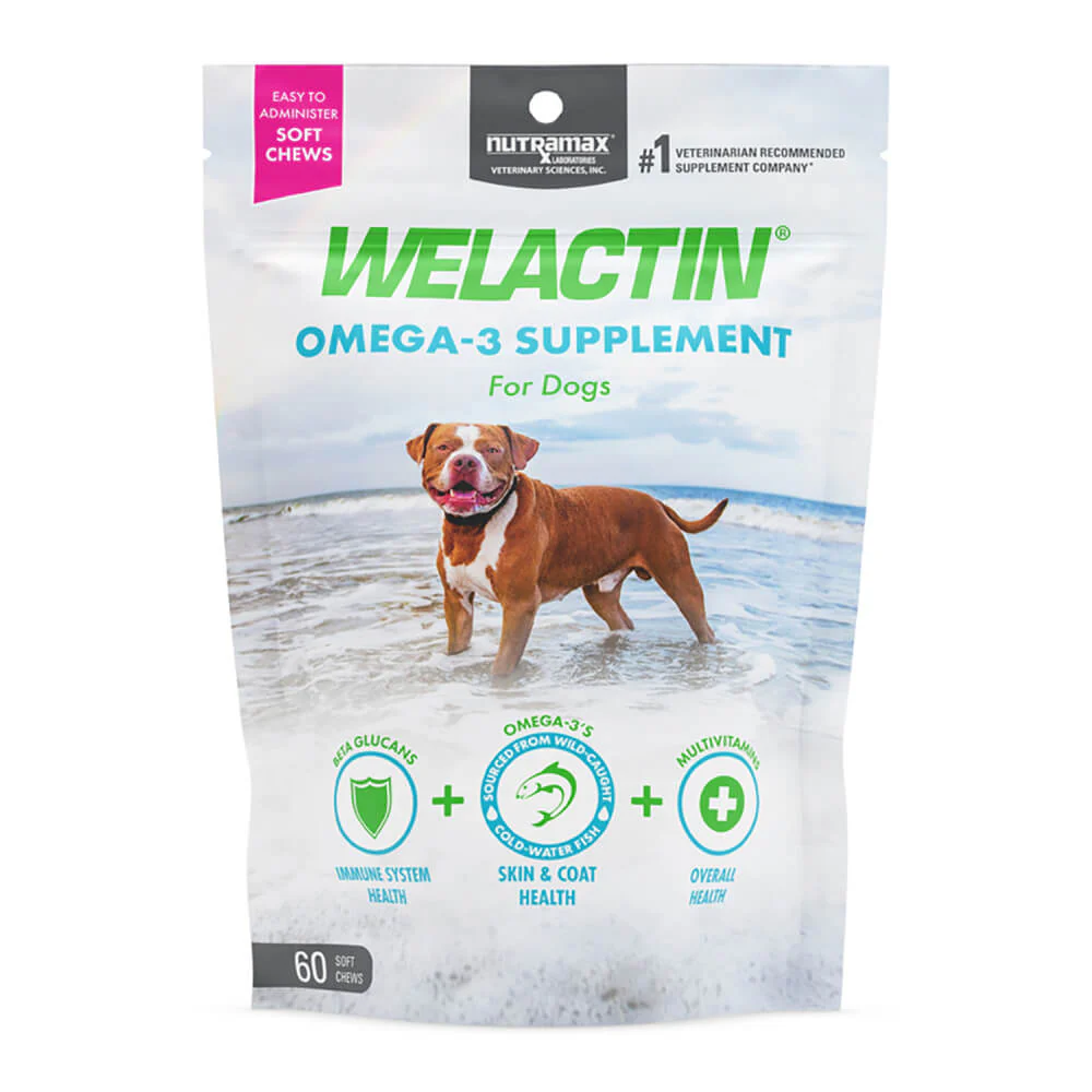 Nutramax Welactin Daily Omega-3 Supplement For Dogs, 60 Soft Chews - Healthber