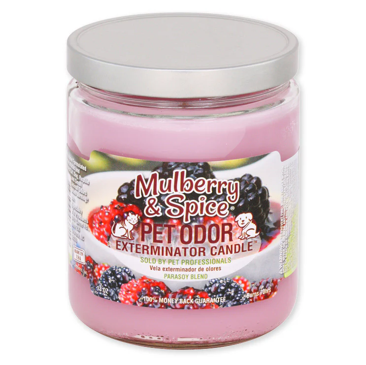 Pet Odor Exterminator Candle, Mulberry & Spice, 13 oz - Healthber