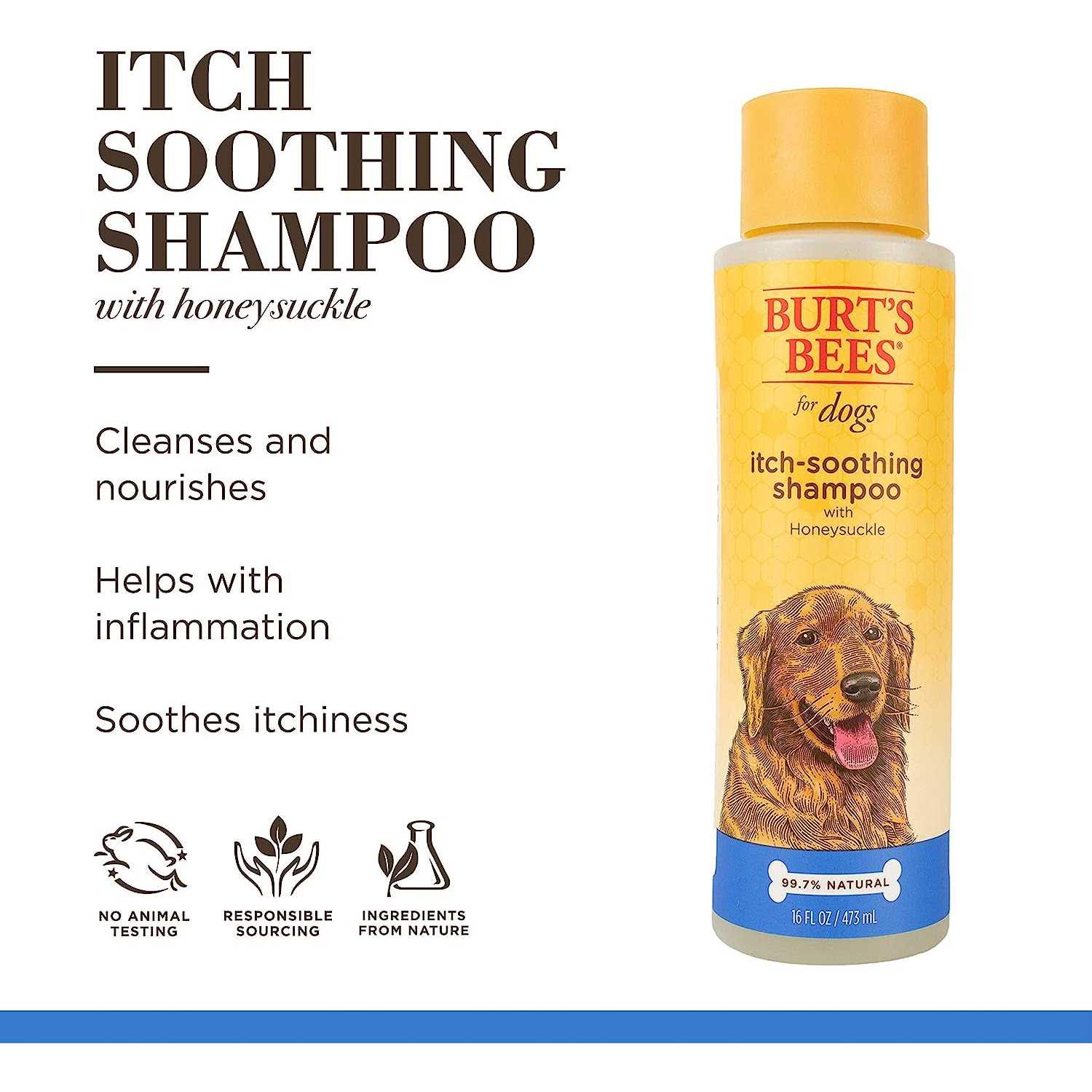 Burt’s Bees for Dogs Shampoo - Healthber