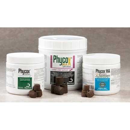 Phycox HA Soft Chews - Healthber