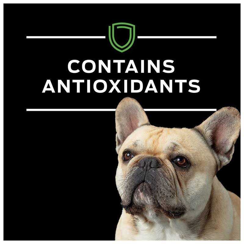 Purina Pro Plan Veterinary Diets HA Hydrolyzed Chicken Flavor Canine Formula in Sauce adult Wet Dog Food - Healthber