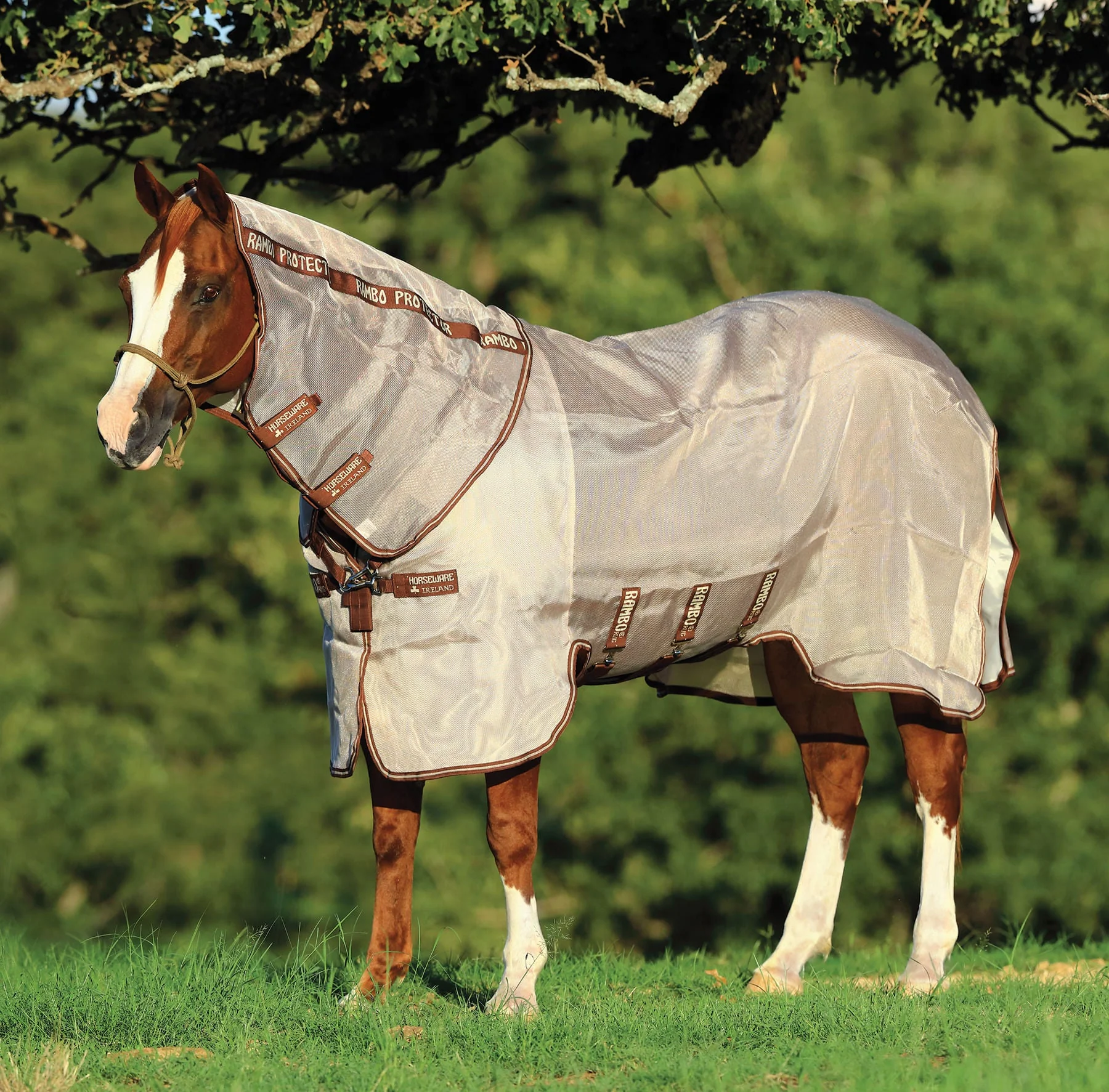 Rambo Protector Horse Fly Sheet - Healthber