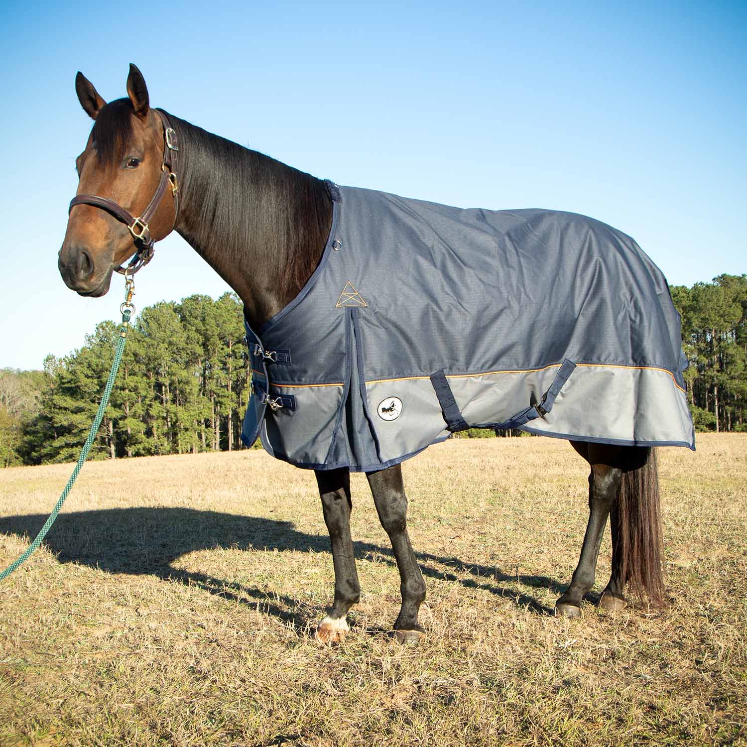 Economy Plus 1200 Denier Turnout Blanket with Standard Neck, 240 Gram, Navy & Gray - Healthber