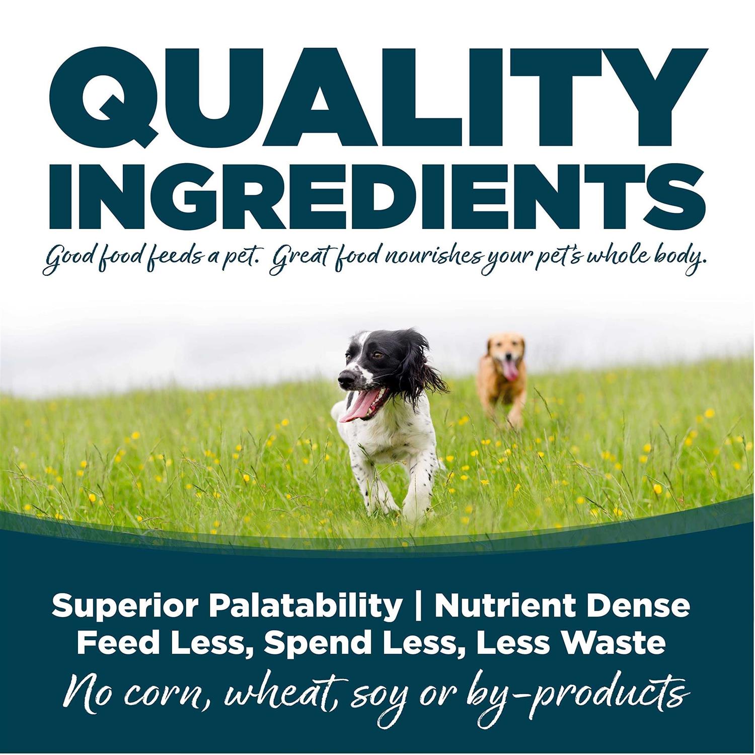 NutriSource Small Bites Adult Chicken & Rice Dry Dog Food - Healthber