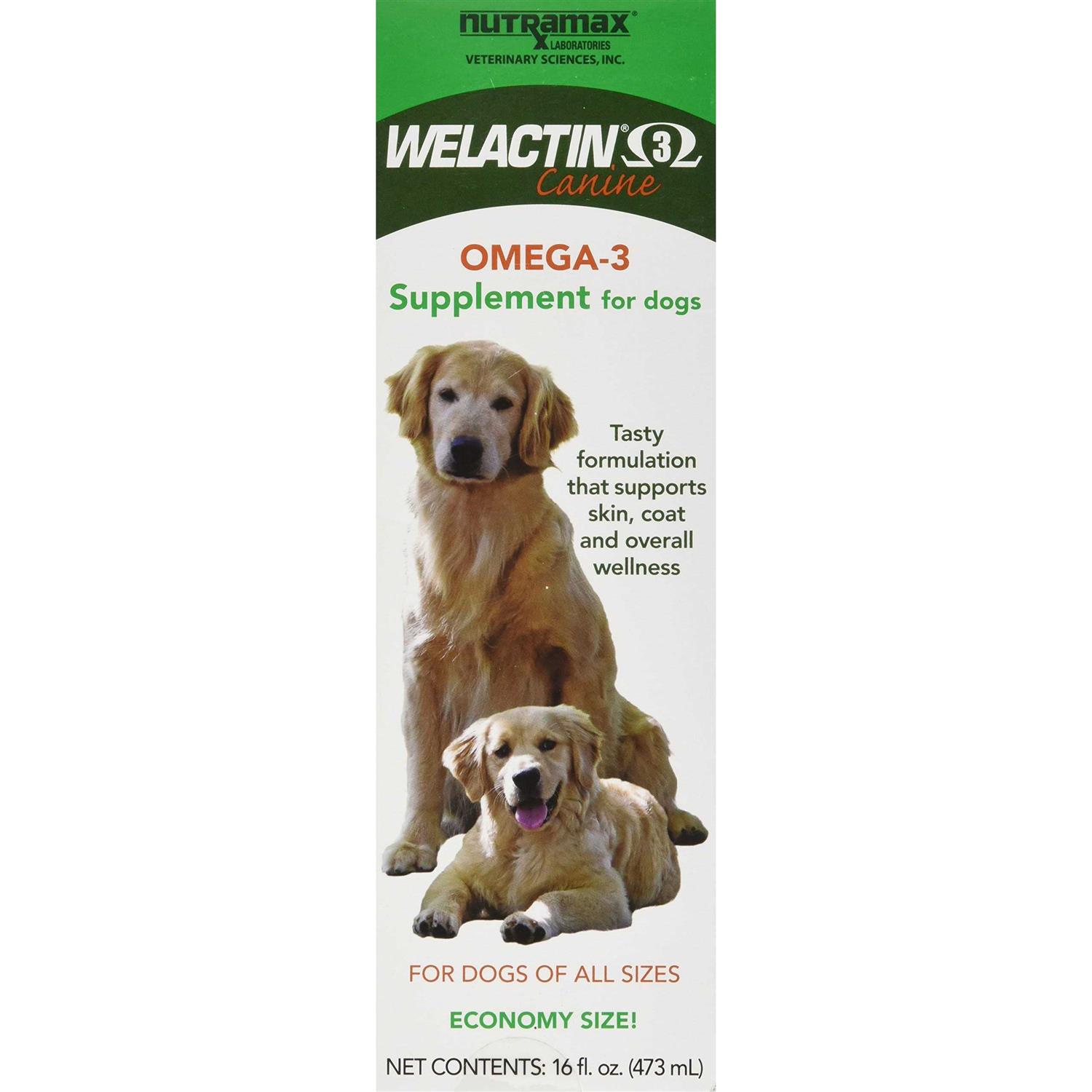 Nutramax Welactin Omega-3 Liquid Skin & Coat Supplement for Dogs - Healthber