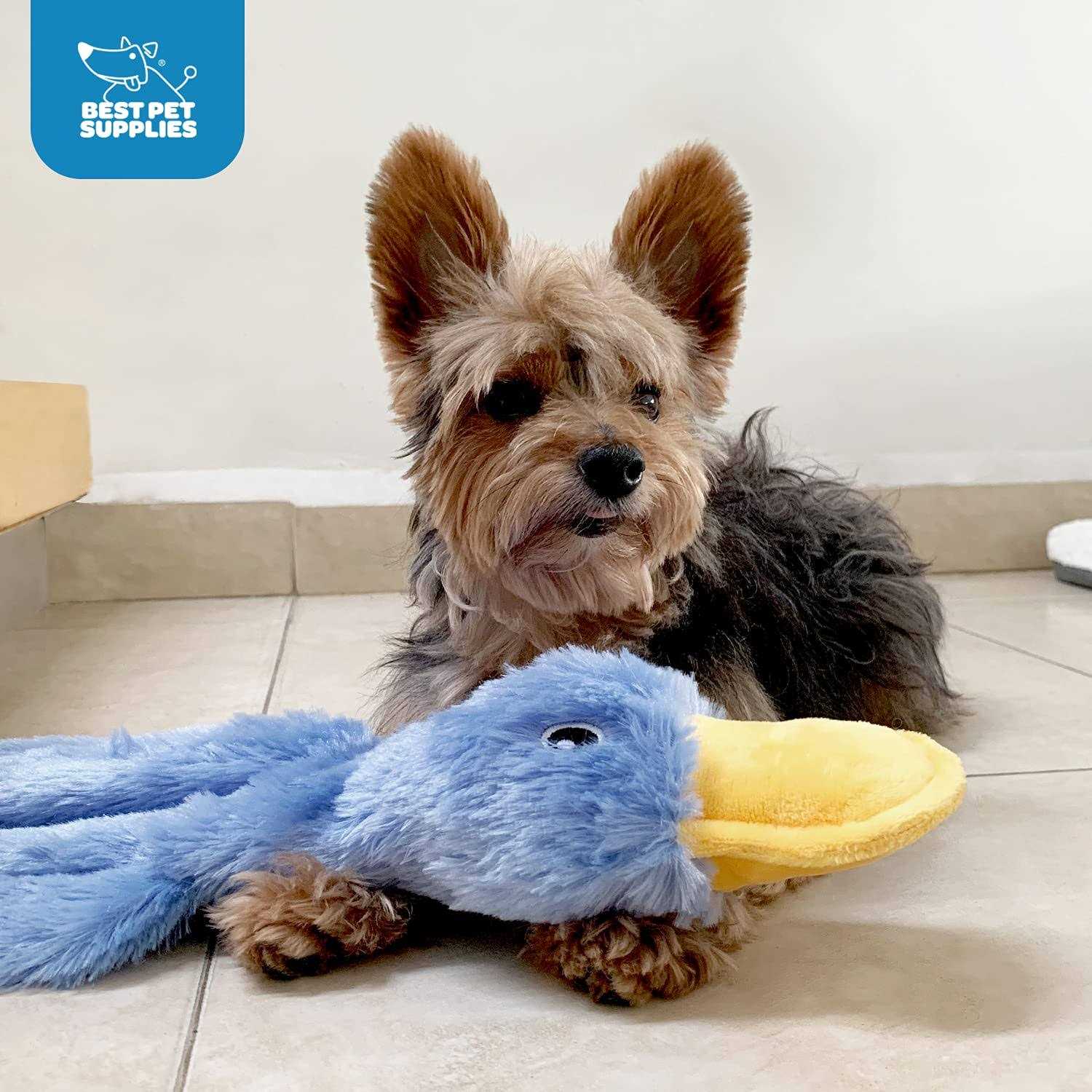Best Pet Supplies Crinkle Dog Toy for Small, Medium, and Large Breeds, Cute No Stuffing Duck with Soft Squeaker, Fun for Indoor Puppies and Senior - Healthber