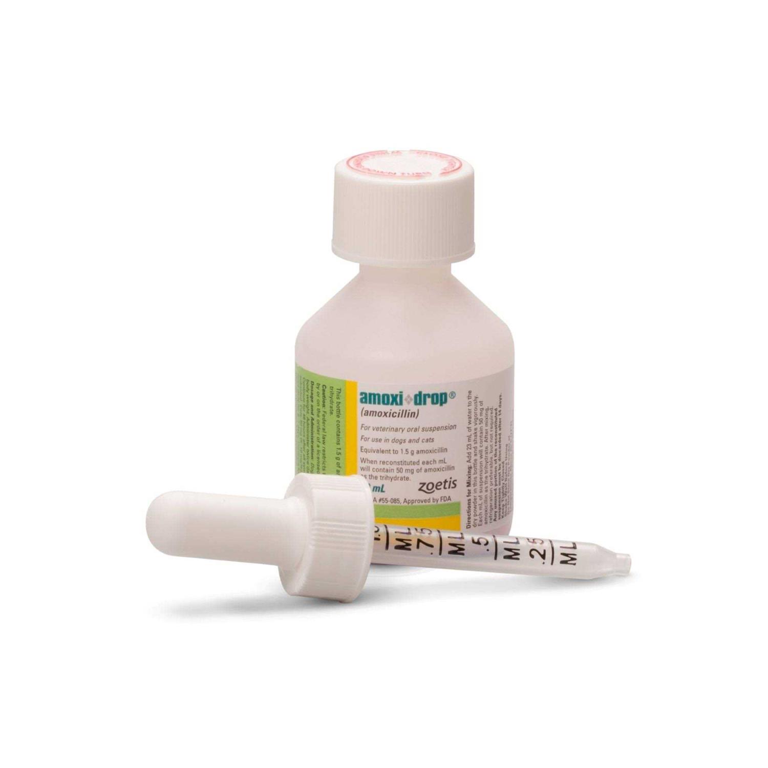 Amoxi Drop Oral Suspension 30ML - Healthber