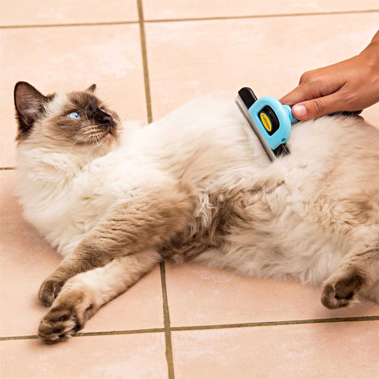 DakPets Pet Grooming Brush Effectively Reduces Shedding by up to 95% Professional Deshedding Tool for Dogs and Cats - Healthber