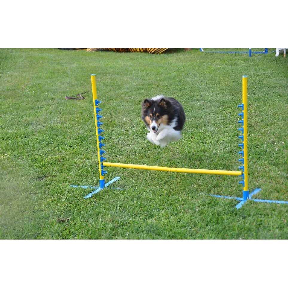 Cool Runners Agility PVA Dog Training Pedestal Jump - Healthber