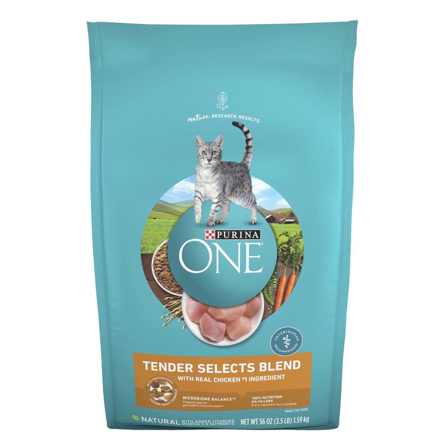 Purina ONE Tender Selects Blend Dry Cat Food With Real Chicken - Healthber