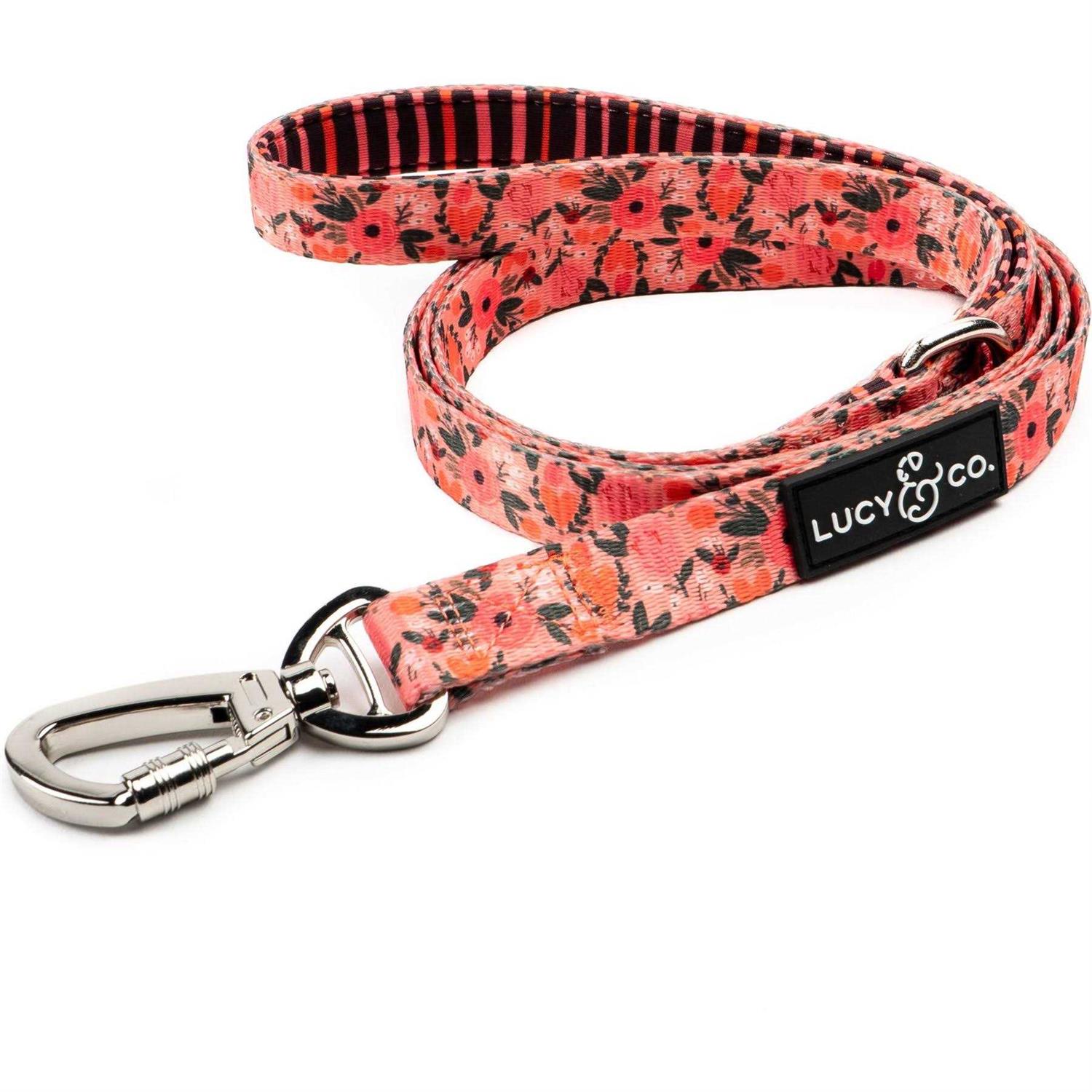 Lucy & Co Leash - Healthber