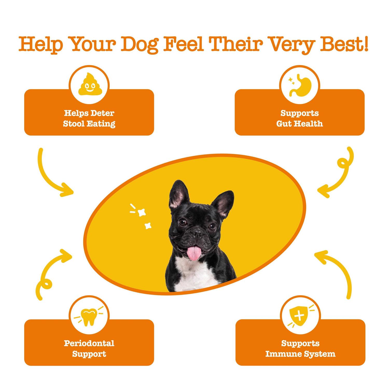 Zesty Paws Chew No Poo Bites for Dogs - Healthber
