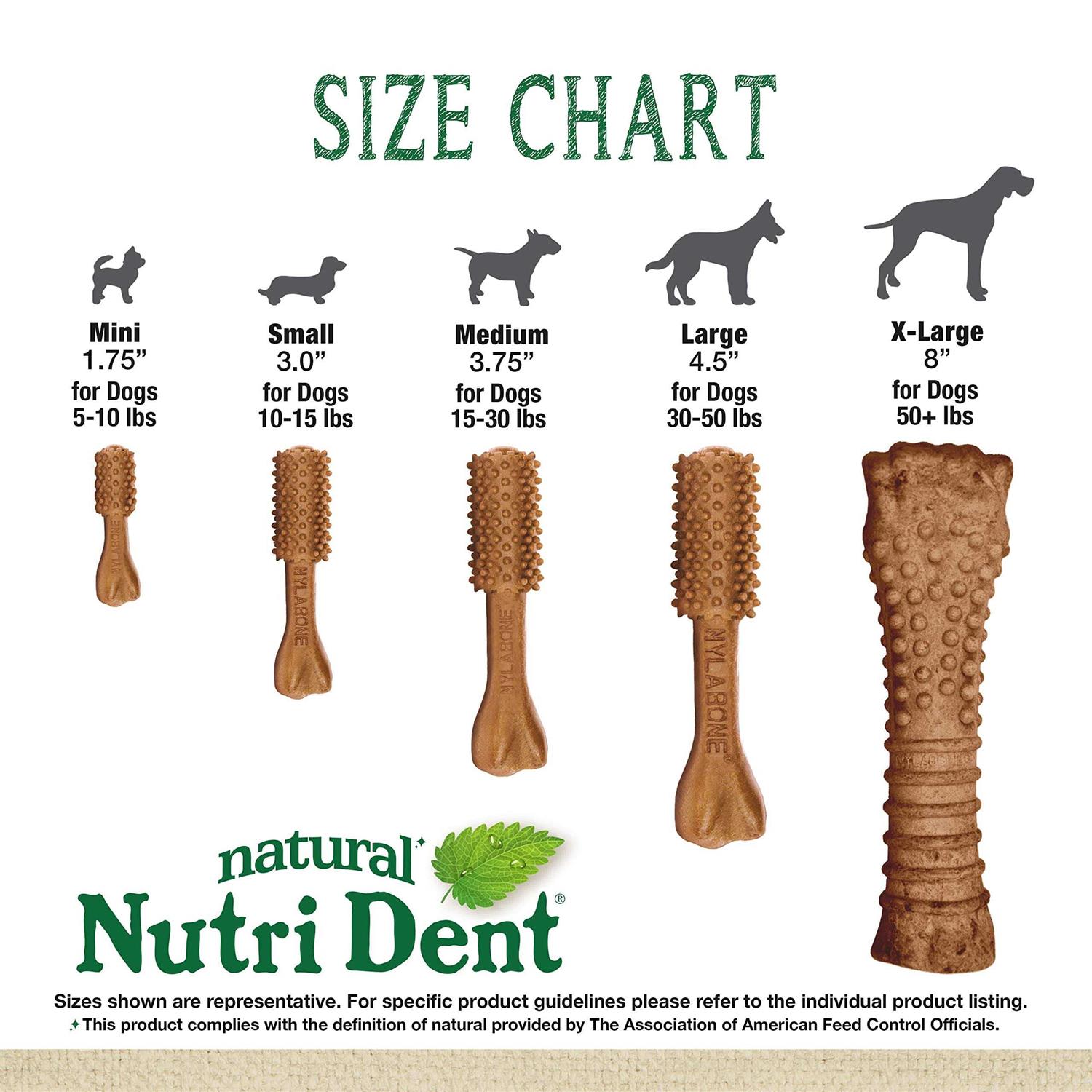 Nylabone Nutri Dent Filet Mignon Flavored Dog Dental Chews - Healthber