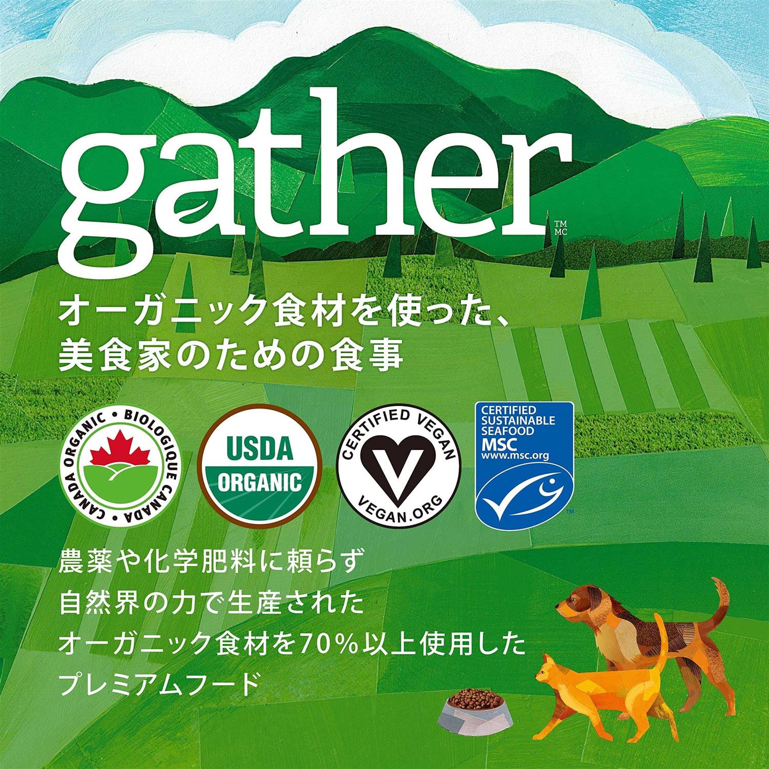 Petcurean Gather Free Acres Organic Free-Run Chicken Dry Cat Food - Healthber