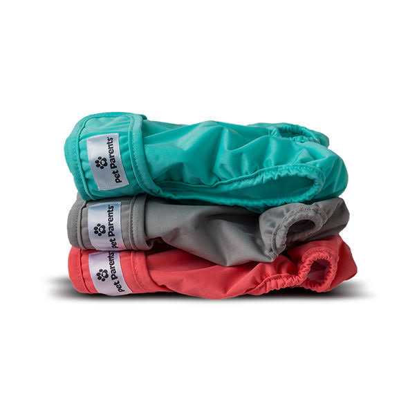 Pet Parents Washable Dog Diapers of Doggie Diapers - Healthber