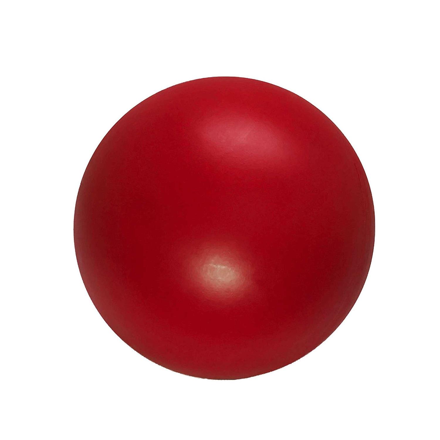 Hueter Toledo Virtually Indestructible Ball 4.5 inches - Healthber