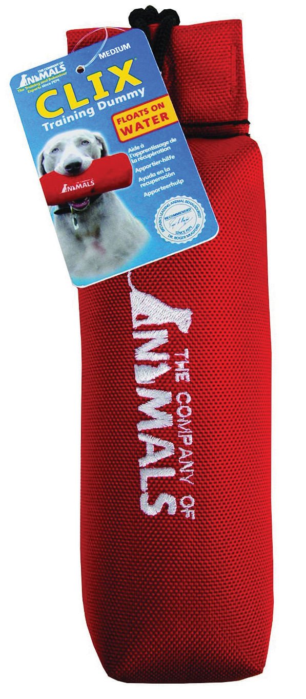 CLIX Canvas Training Dummy - Healthber