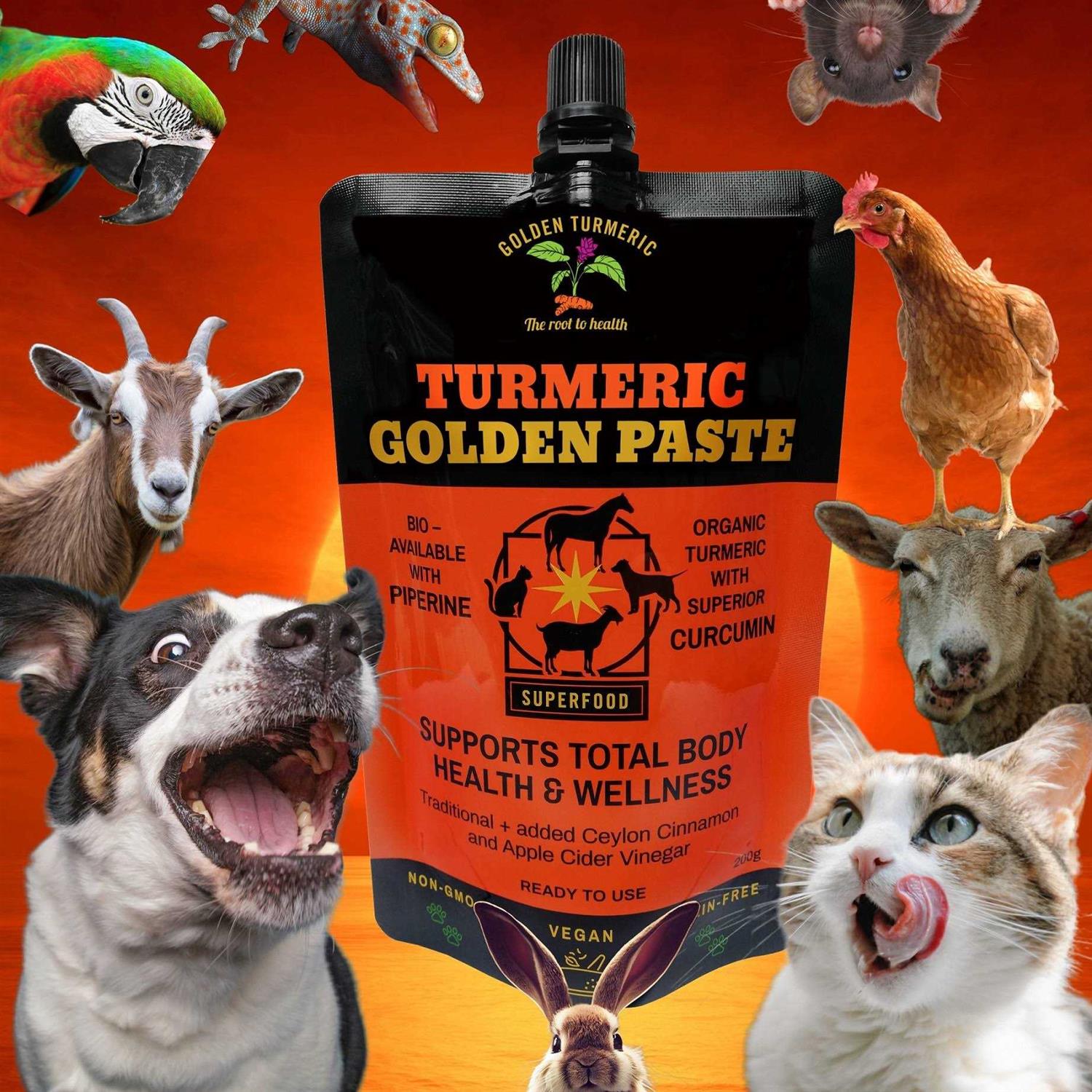 Turmeric Golden Paste for Pets 7 OZ - Healthber