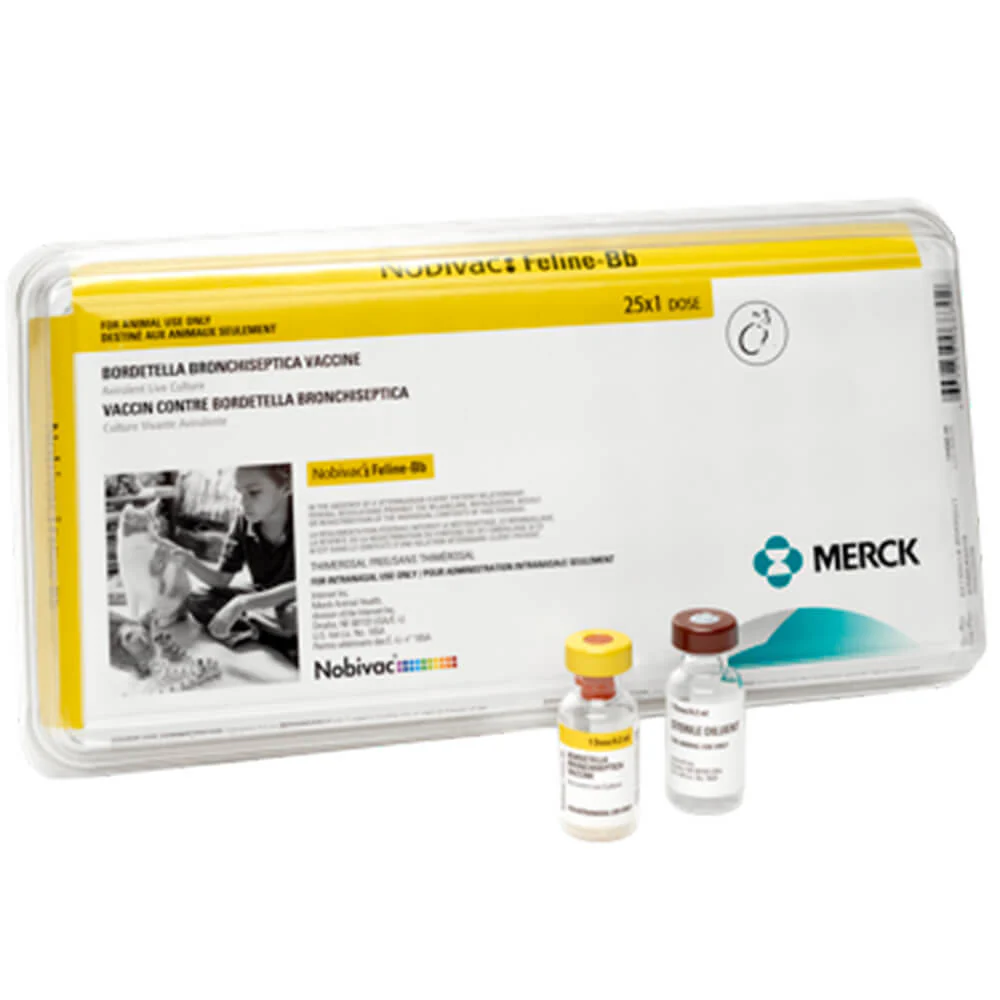 Nobivac Feline-Bb, 25 x 1 Dose - Healthber